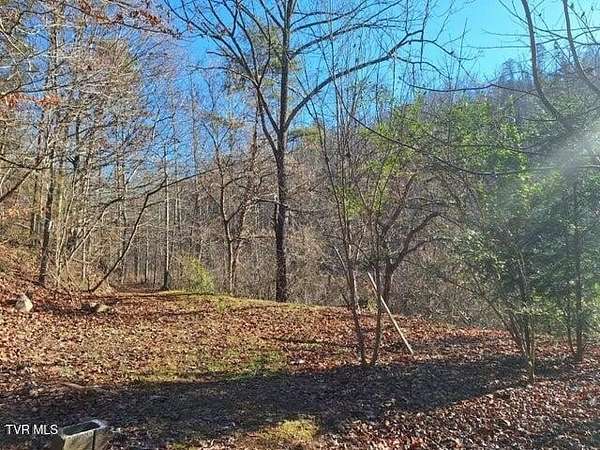 52 Acres of Recreational Land for Sale in Rogersville, Tennessee