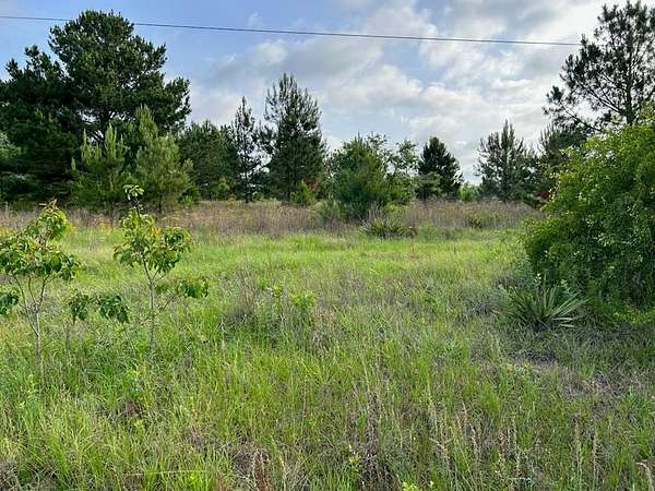 3.36 Acres of Residential Land for Sale in Ellaville, Georgia