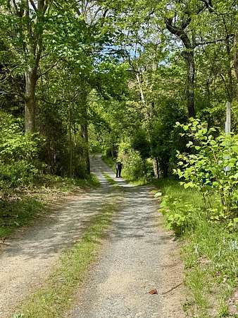 1.68 Acres of Improved Residential Land for Sale in Orleans, Massachusetts