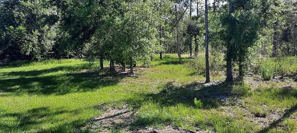 0.5 Acres of Residential Land for Sale in Indian Lake Estates, Florida