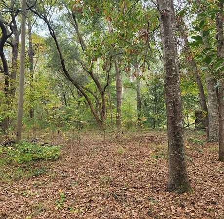 1.88 Acres of Improved Residential Land for Sale in Tallahassee, Florida