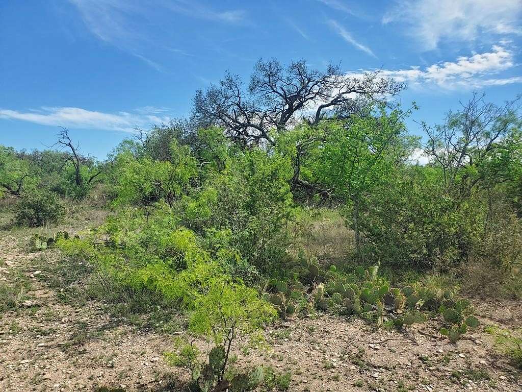 64.6 Acres of Recreational Land for Sale in Fort McKavett, Texas