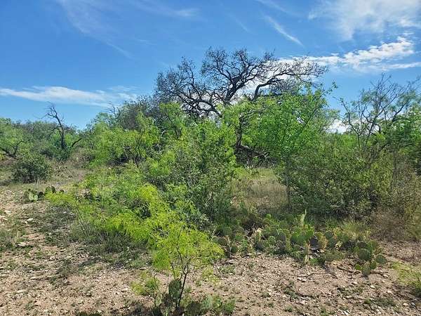 64.6 Acres of Recreational Land for Sale in Fort McKavett, Texas