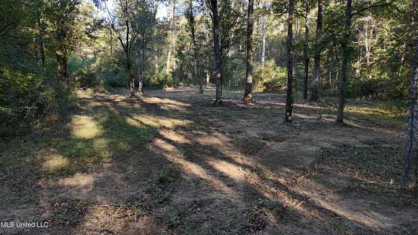 31.3 Acres of Recreational Land for Sale in Canton, Mississippi