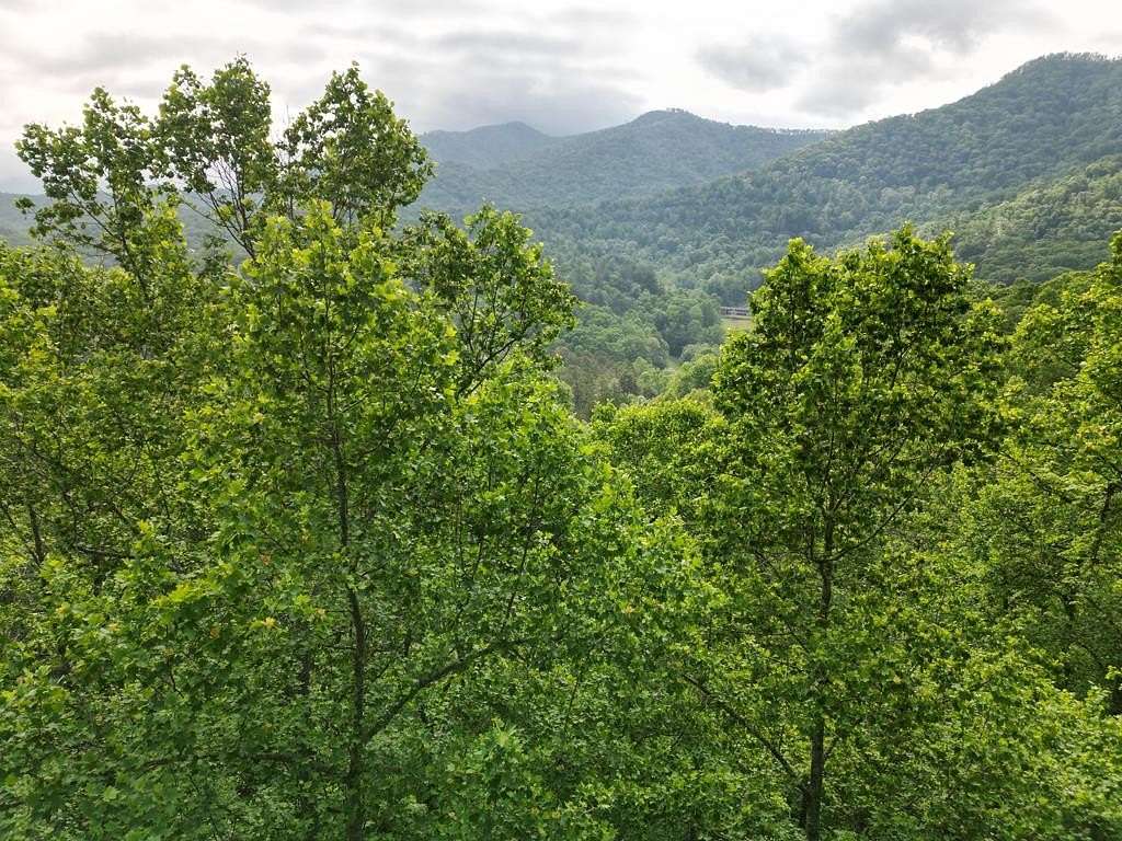 Residential Land for Sale in Hayesville, North Carolina