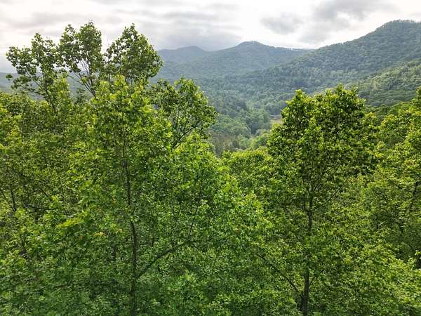 Residential Land for Sale in Hayesville, North Carolina