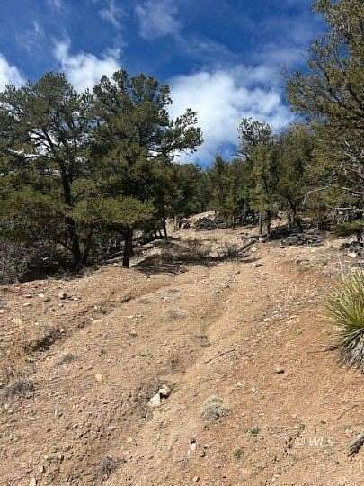 8 Acres of Residential Land for Sale in Cotopaxi, Colorado