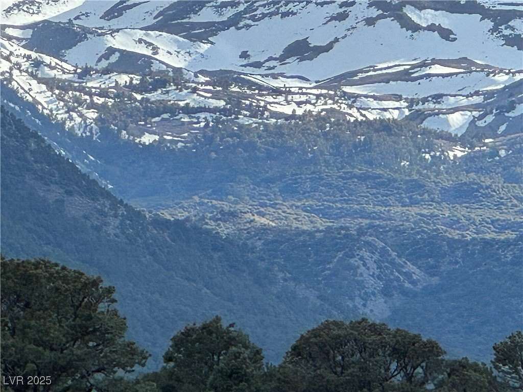 11.3 Acres of Land for Sale in Dyer, Nevada