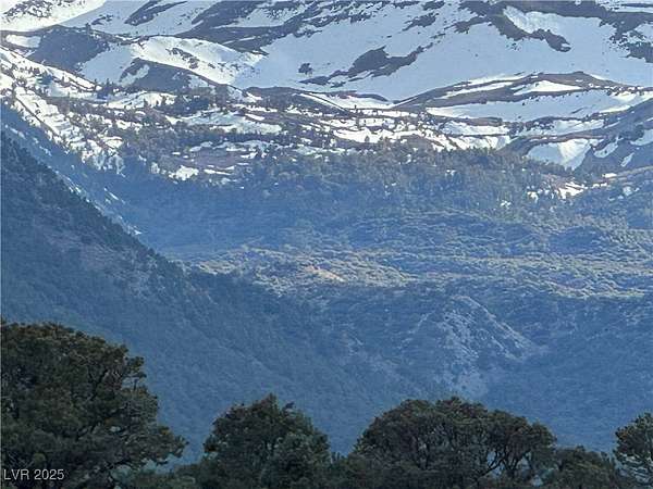 11.3 Acres of Land for Sale in Dyer, Nevada