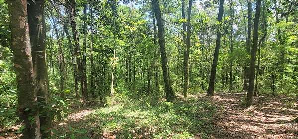 0.8 Acres of Residential Land for Sale in Irvington, Alabama