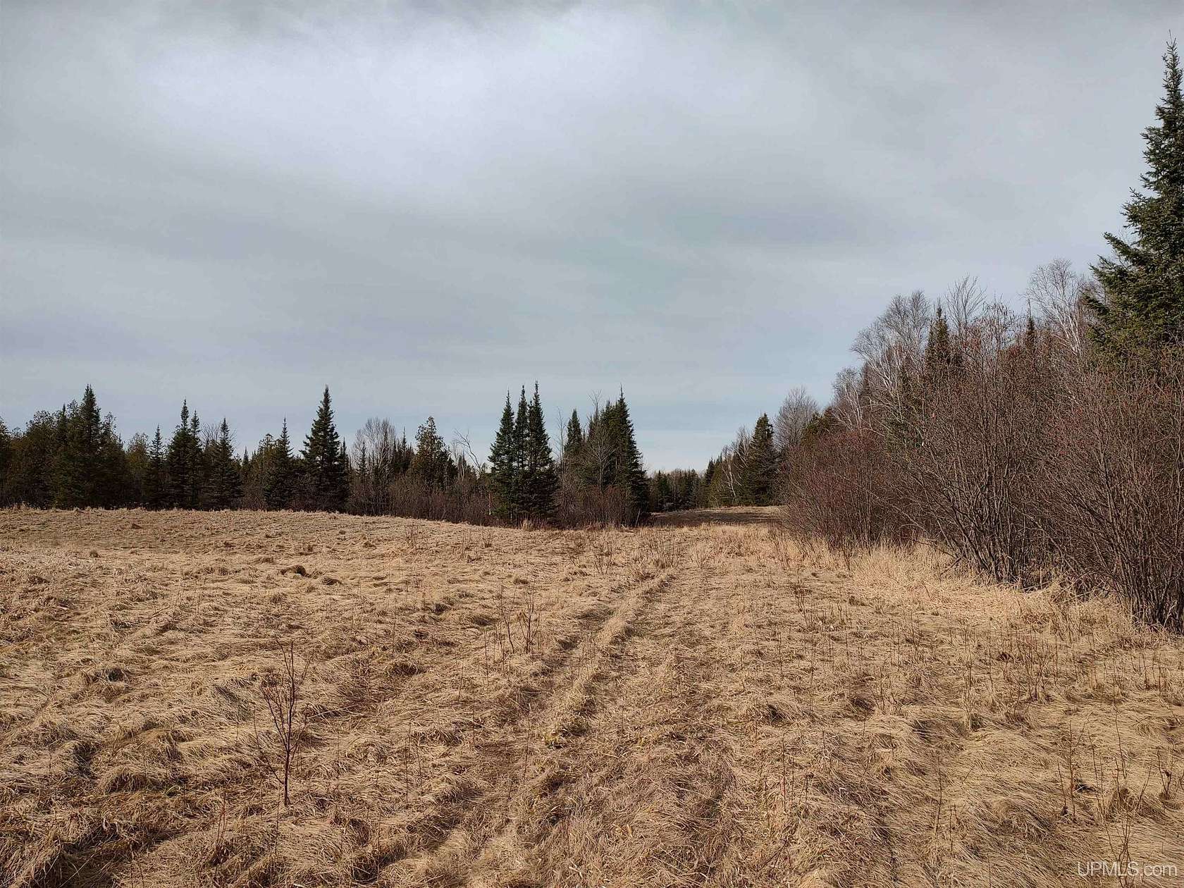 40 Acres of Recreational Land for Sale in Rock, Michigan
