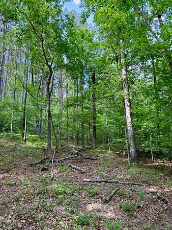 35.4 Acres of Recreational & Residential Land for Sale in Louisville, Mississippi