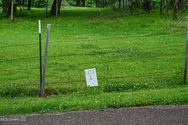 2 Acres of Residential Land for Sale in Byhalia, Mississippi