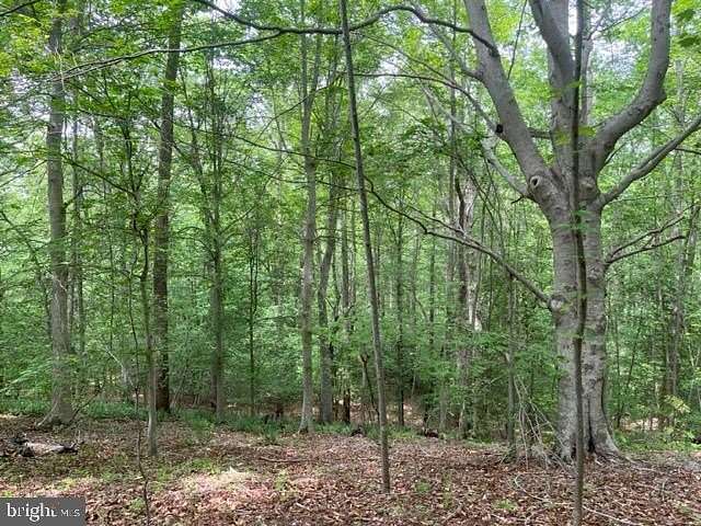 12.5 Acres of Recreational Land for Sale in La Plata, Maryland