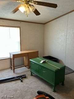 10.2 Acres of Land with Home for Sale in Pleasant City, Ohio