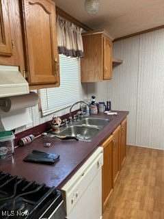 10.2 Acres of Land with Home for Sale in Pleasant City, Ohio