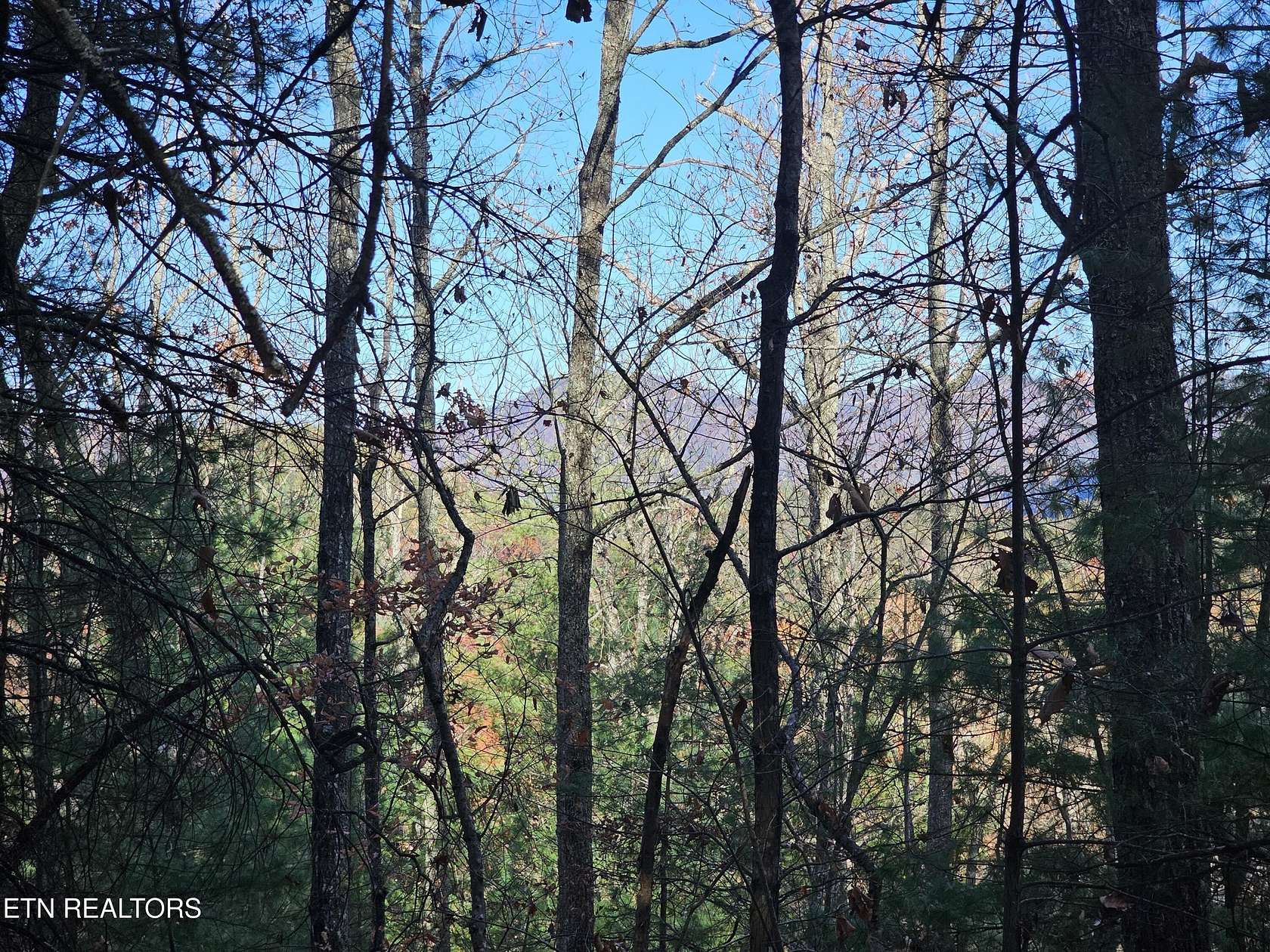 1.62 Acres of Residential Land for Sale in Townsend, Tennessee