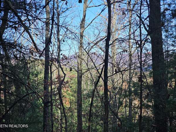 1.62 Acres of Residential Land for Sale in Townsend, Tennessee