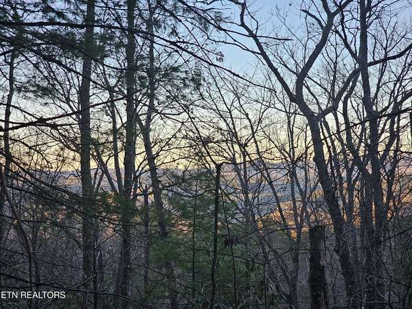 1.62 Acres of Residential Land for Sale in Townsend, Tennessee