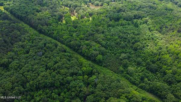 16 Acres of Land for Sale in Byhalia, Mississippi