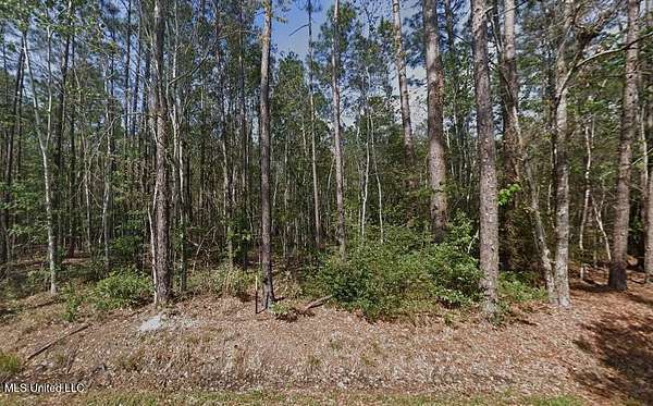 0.29 Acres of Residential Land for Sale in Bay St. Louis, Mississippi