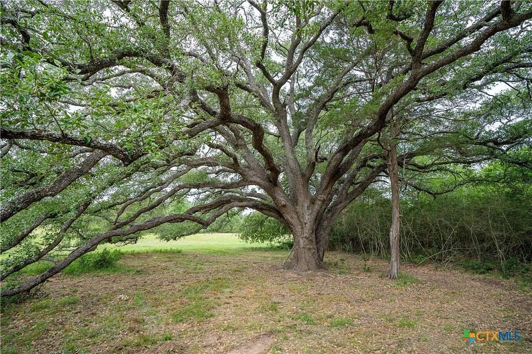 65 Acres of Land for Sale in Rosanky, Texas