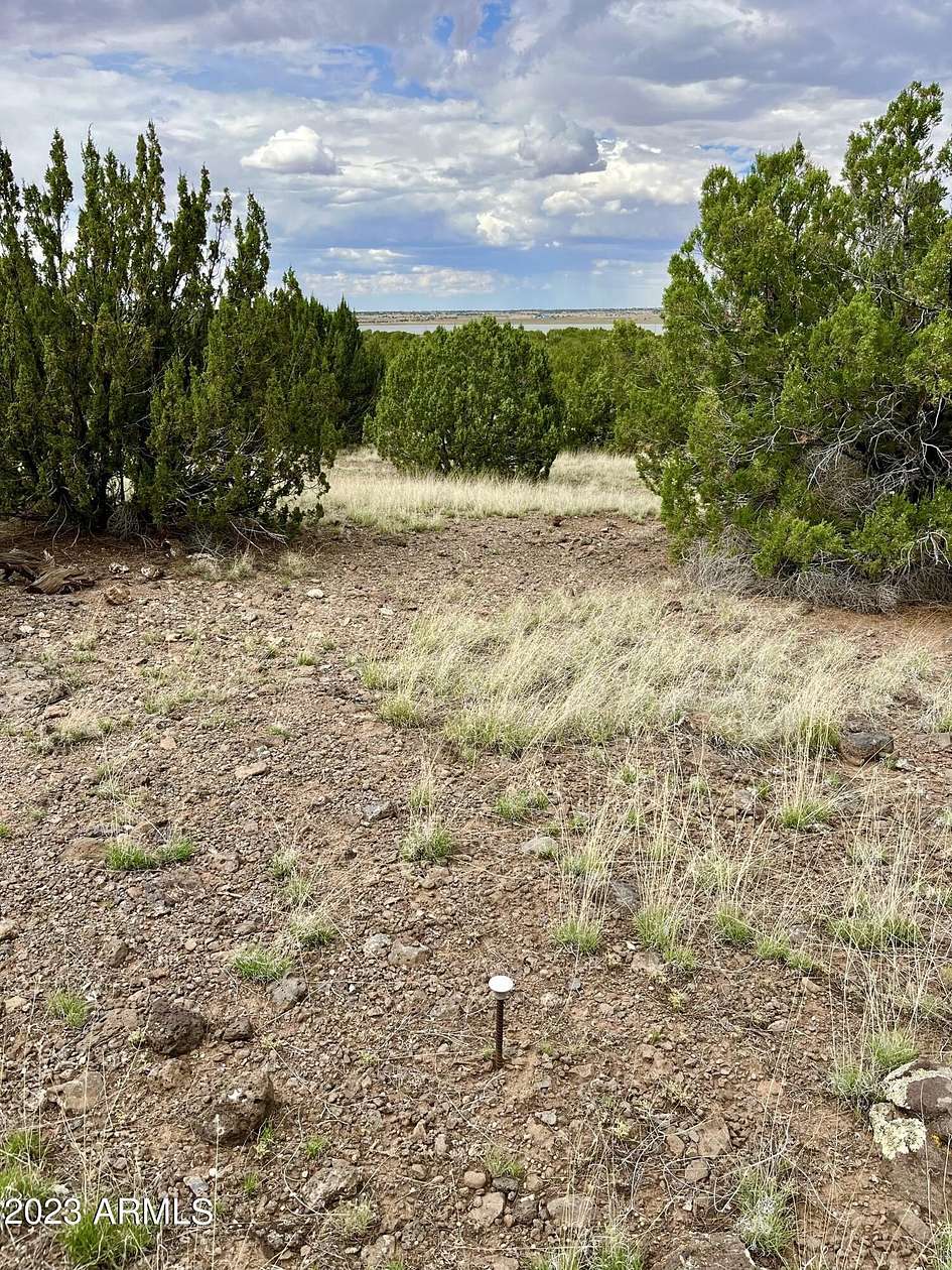37.5 Acres of Recreational Land & Farm for Sale in Concho, Arizona