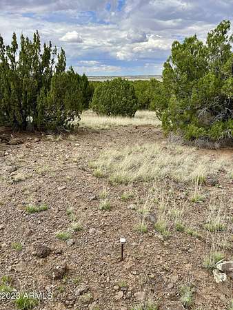 37.5 Acres of Recreational Land & Farm for Sale in Concho, Arizona