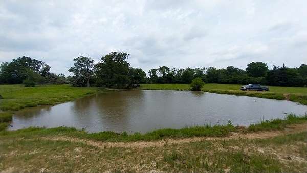 50 Acres of Recreational Land & Farm for Sale in Lovelady, Texas