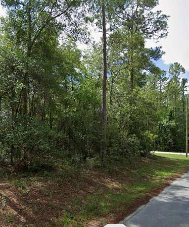 1 Acre of Residential Land for Sale in Dunnellon, Florida
