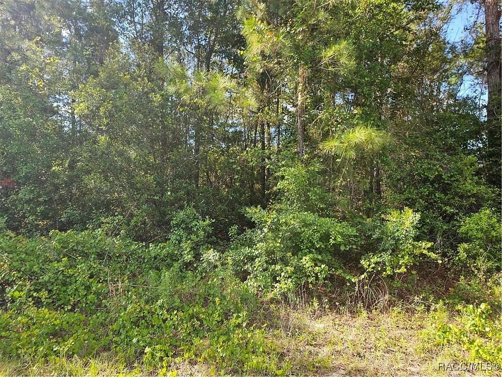 0.39 Acres of Residential Land for Sale in Citrus Springs, Florida