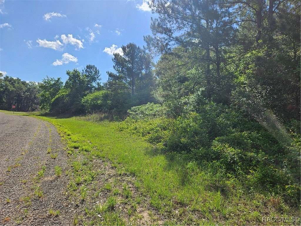 0.39 Acres of Land for Sale in Citrus Springs, Florida