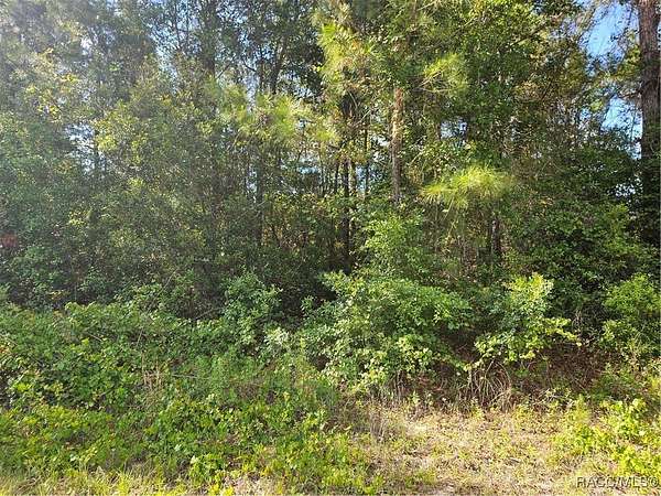 0.39 Acres of Residential Land for Sale in Citrus Springs, Florida