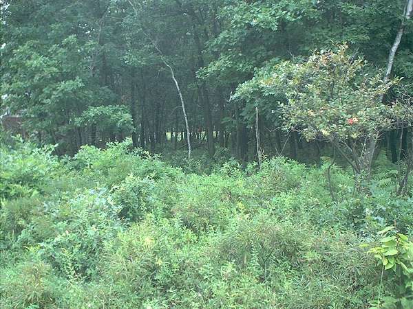 0.3 Acres of Residential Land for Sale in Pocono Lake, Pennsylvania