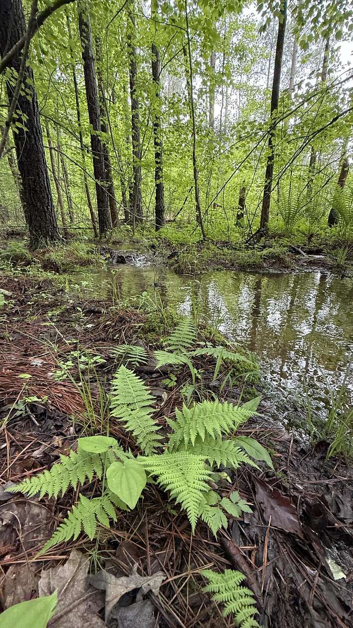 11 Acres of Recreational Land for Sale in Dunlap, Tennessee