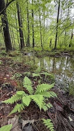 11 Acres of Recreational Land for Sale in Dunlap, Tennessee