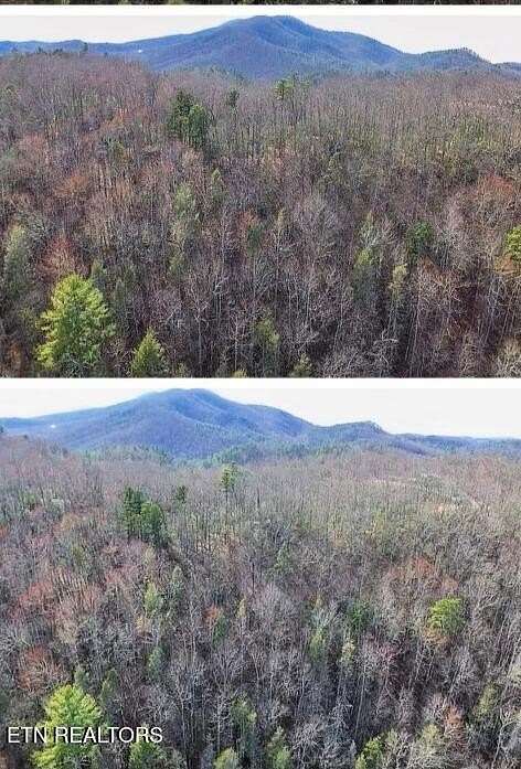 4.5 Acres of Residential Land for Sale in Cosby, Tennessee