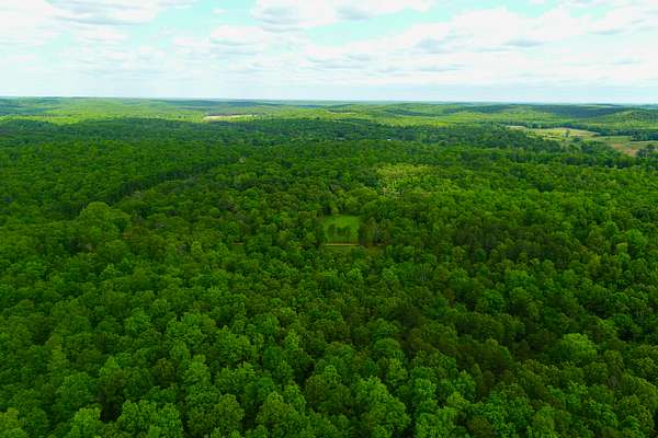 123 Acres of Land for Sale in Gatewood, Missouri