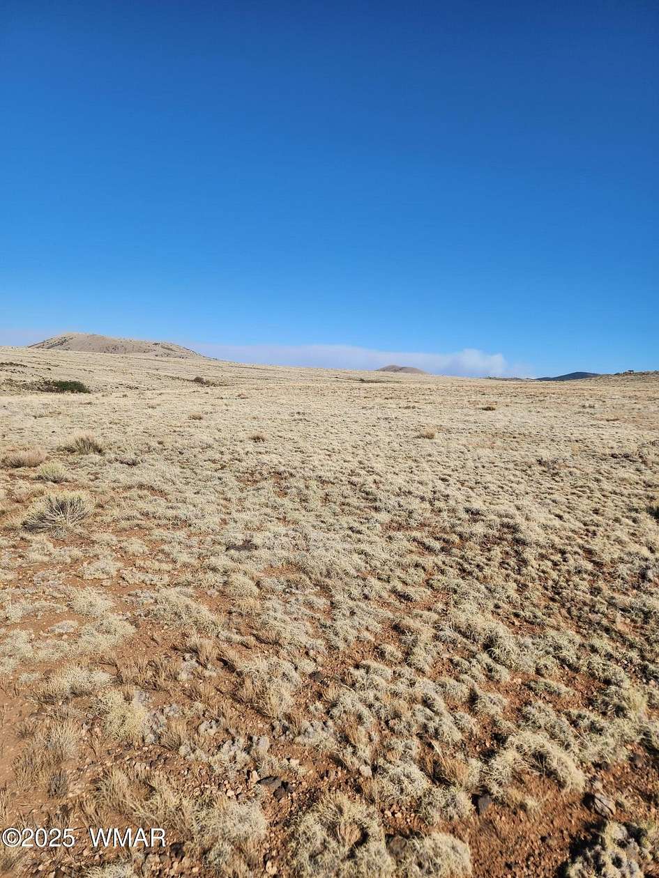 1.18 Acres of Land for Sale in Concho, Arizona