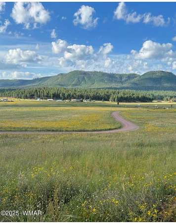 1.68 Acres of Residential Land for Sale in Alpine, Arizona