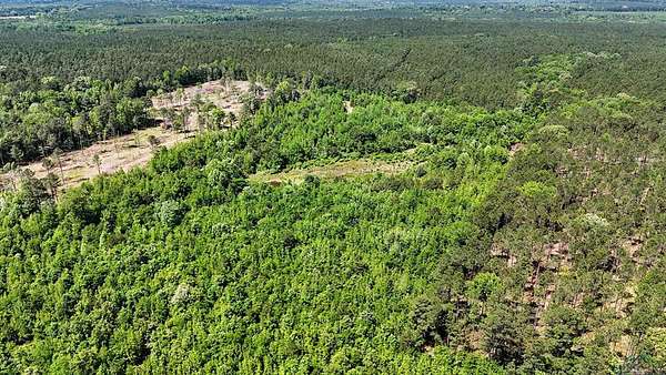 12.7 Acres of Land for Sale in Jefferson, Texas