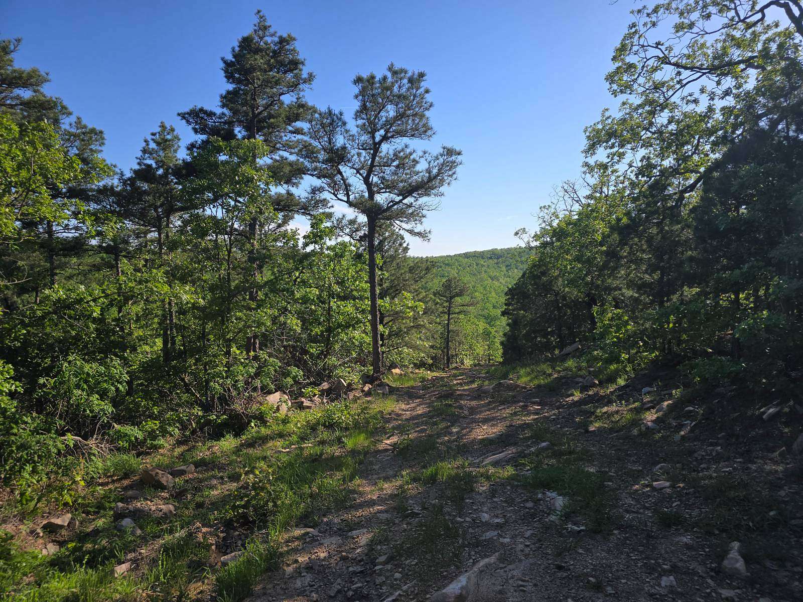 15.2 Acres of Recreational Land & Farm for Sale in Albion, Oklahoma