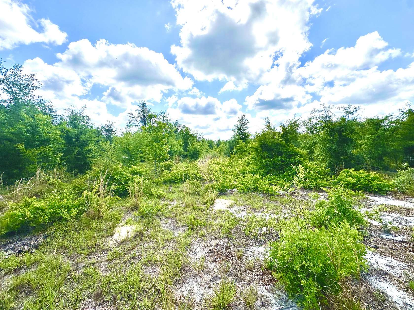94 Acres of Agricultural Land for Sale in Mayo, Florida