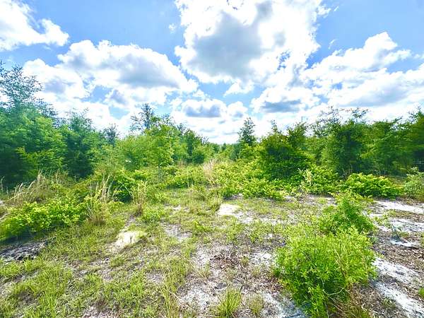 94 Acres of Agricultural Land for Sale in Mayo, Florida