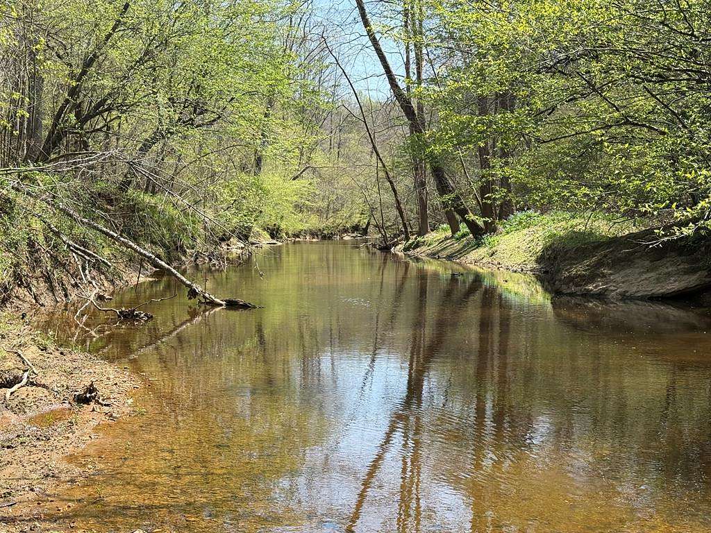 128 Acres of Land for Sale in Grove, Virginia