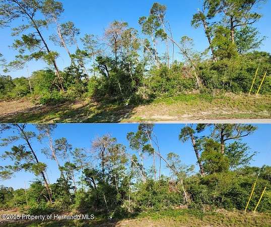 0.36 Acres of Residential Land for Sale in Spring Hill, Florida