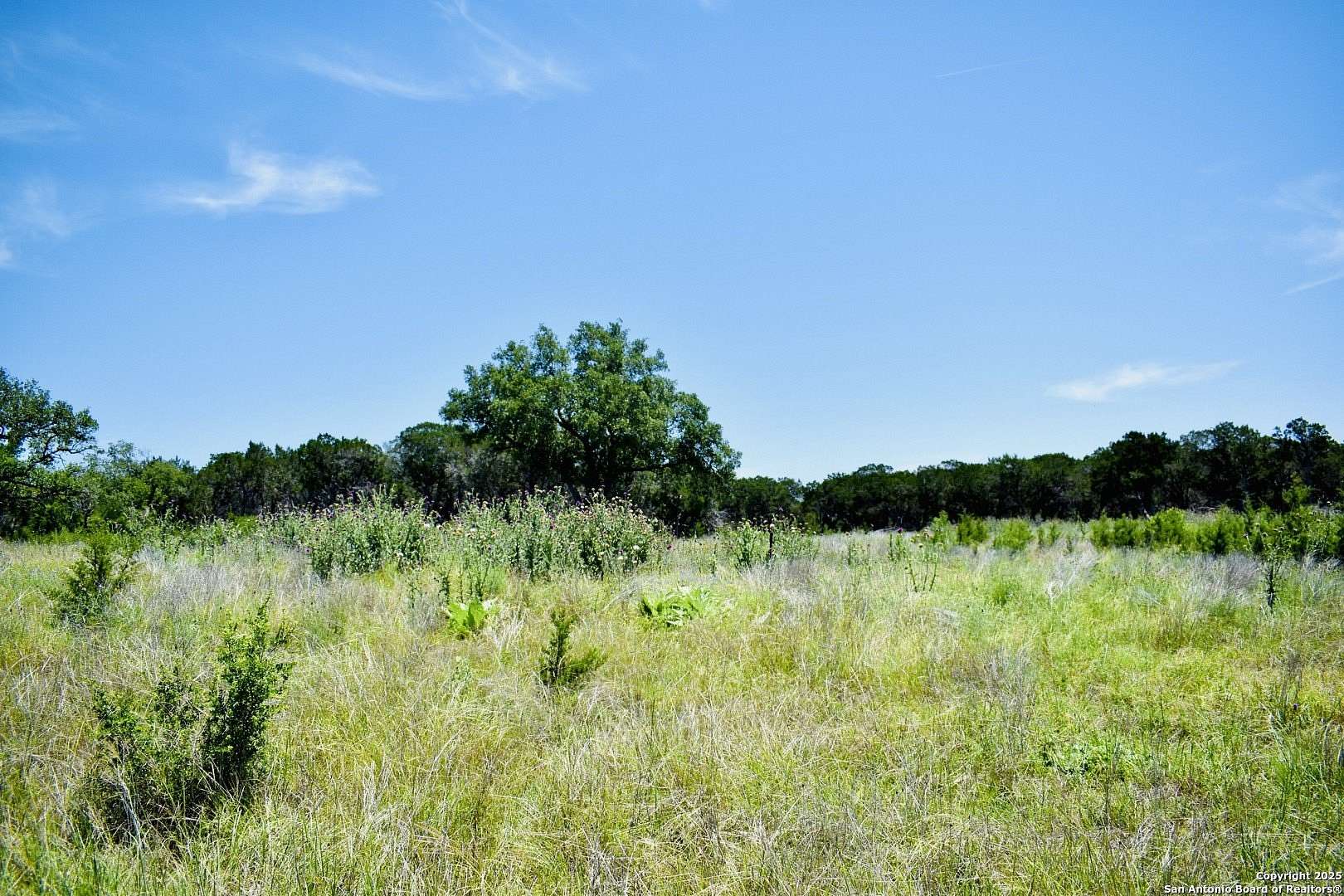 5 Acres of Residential Land for Sale in Bandera, Texas
