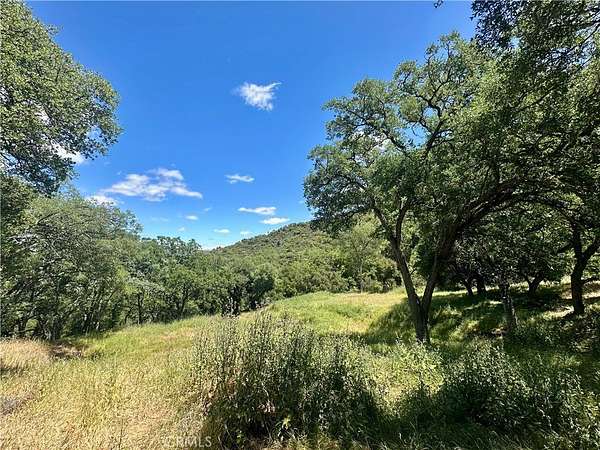 53.8 Acres of Recreational Land & Farm for Sale in Santa Maria, California