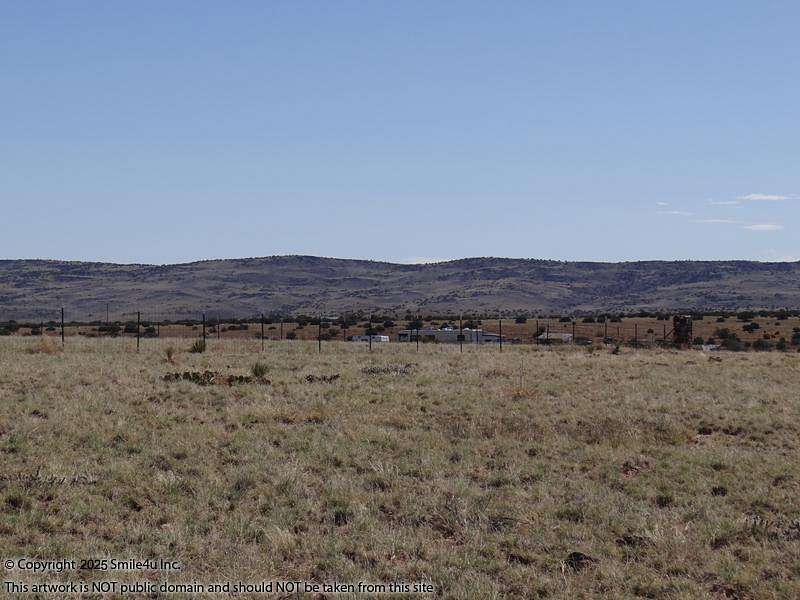 1 Acre of Residential Land for Sale in Concho, Arizona