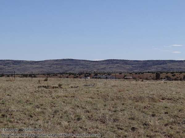 1 Acre of Residential Land for Sale in Concho, Arizona